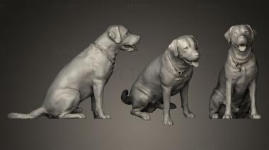 3D model DOG A46 (STL)